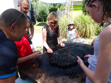 Eglade des mejillones Camping Les Grissotières