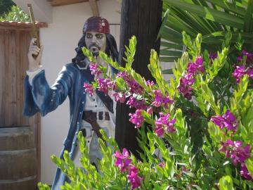 Jack Sparrow is waiting for you at Camping Les Grissotières