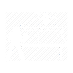 Table tennis